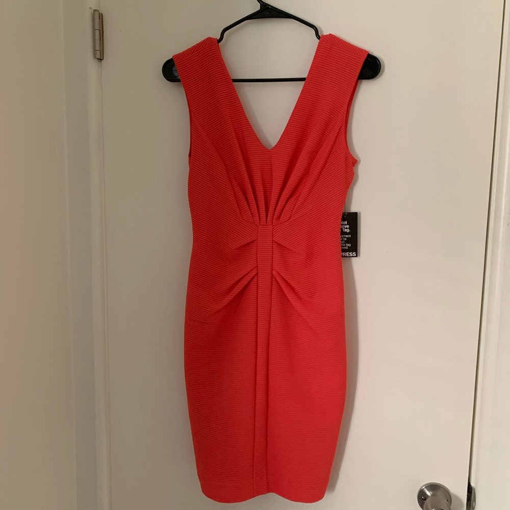 NWT - Express pink V-Neck dress
